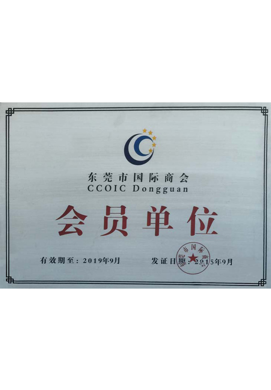 CCOIC/CCPIT Medal